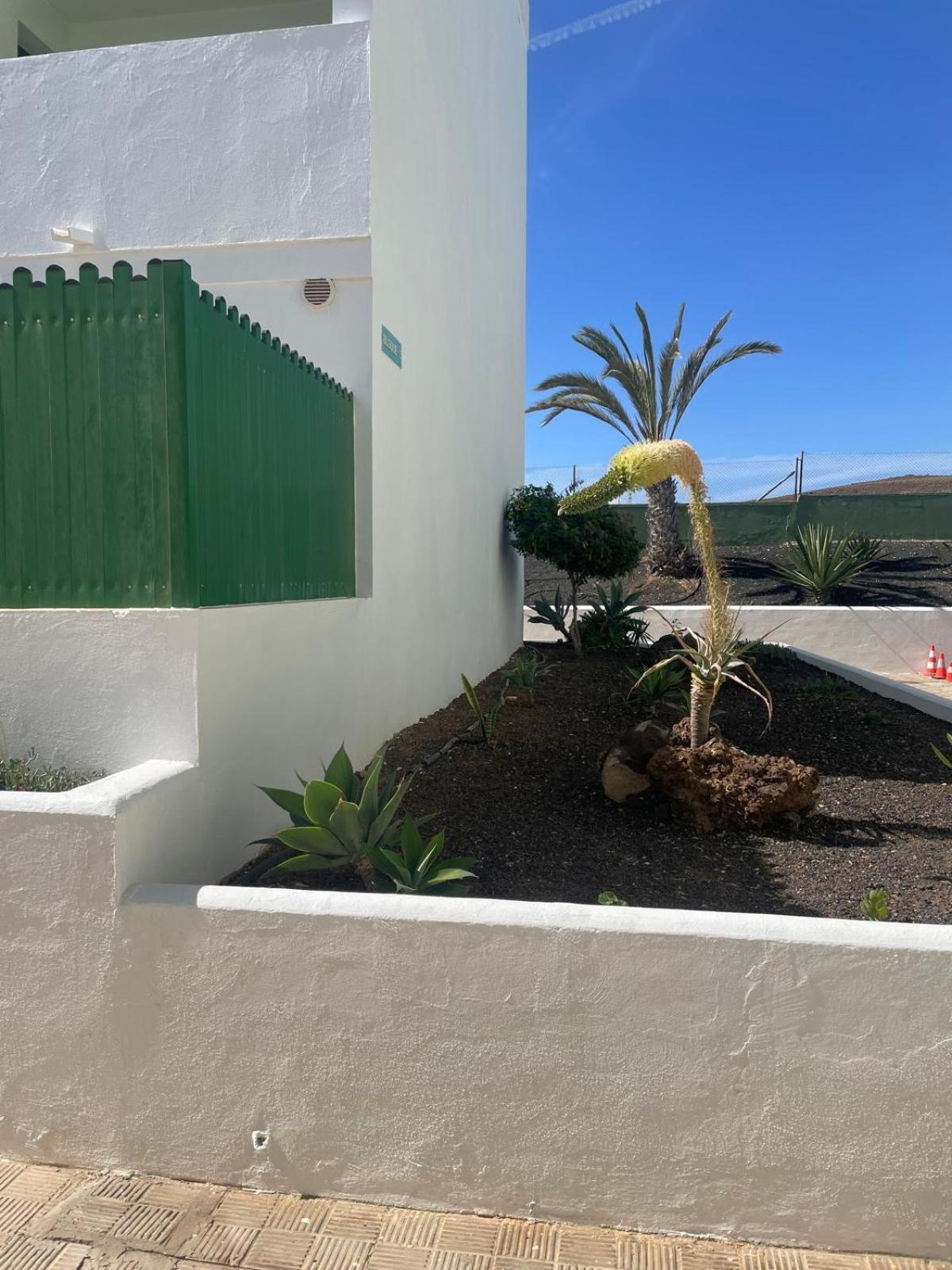 Fuertesun Dunas Beach Parque Holandes Exterior foto